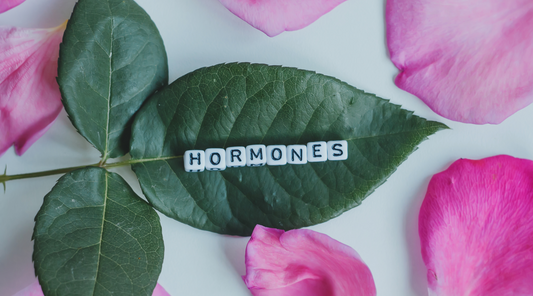 Midlife Hormones 101: Essentials Every Woman Should Know