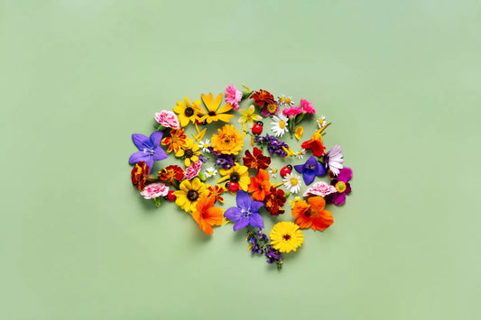 Navigating Brain Health During Menopause: A Deeper Dive