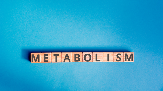 Metabolism Myths