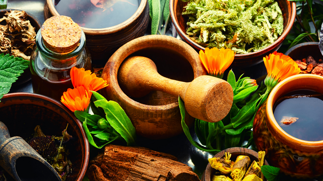 Understanding Naturopathic Medicine: The Therapeutic Order