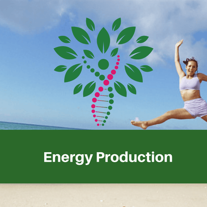 GLOW Natural Wellness GLOW Protocol