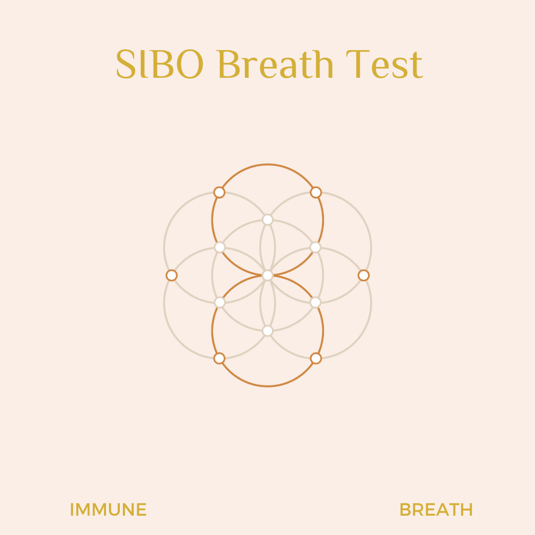 GLOW Natural Wellness SIBO Breath Test